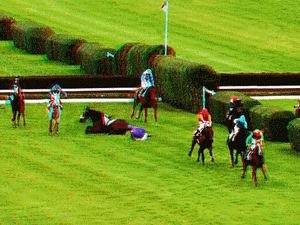 equus