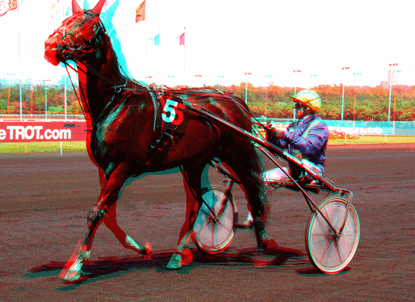 equus