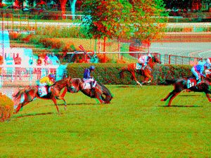 equus