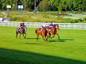 equus