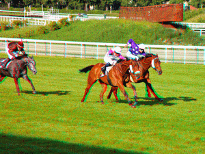 equus