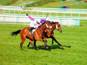 equus