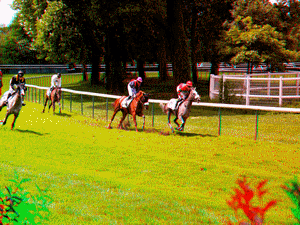 equus
