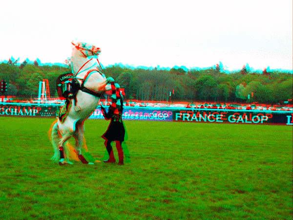 equus