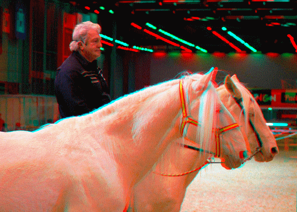 equus
