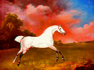 equus