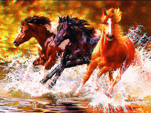 equus