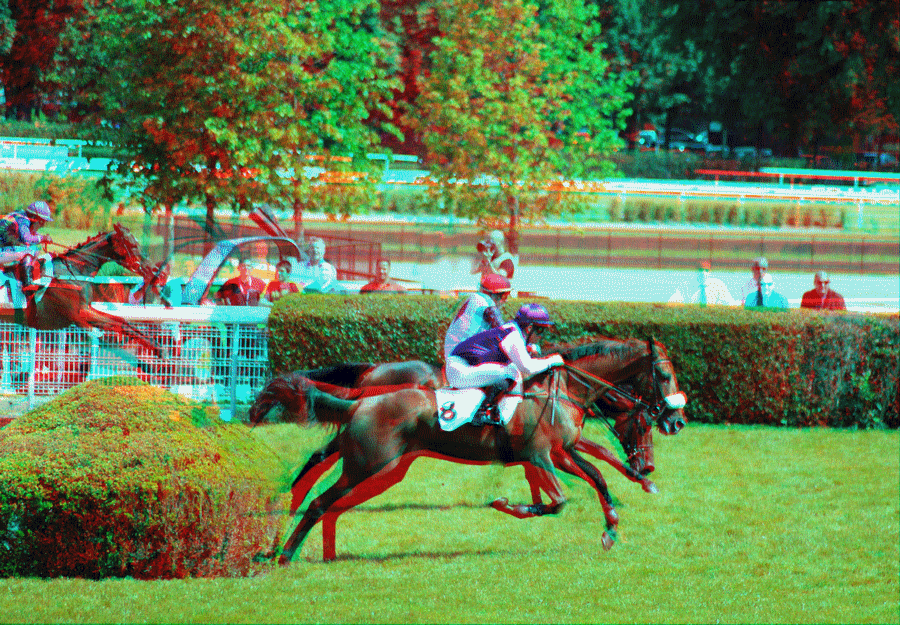 equus