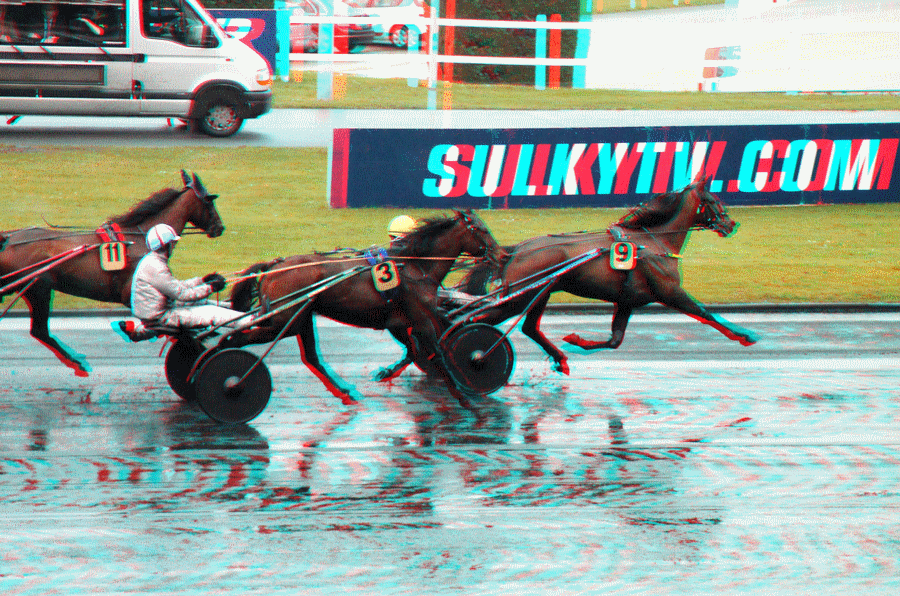 equus