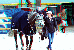 equus
