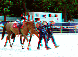 equus