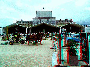 equus