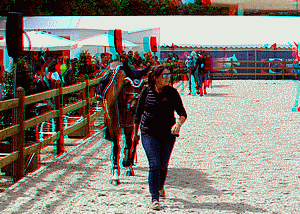 equus