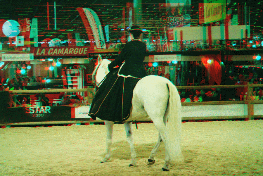 equus