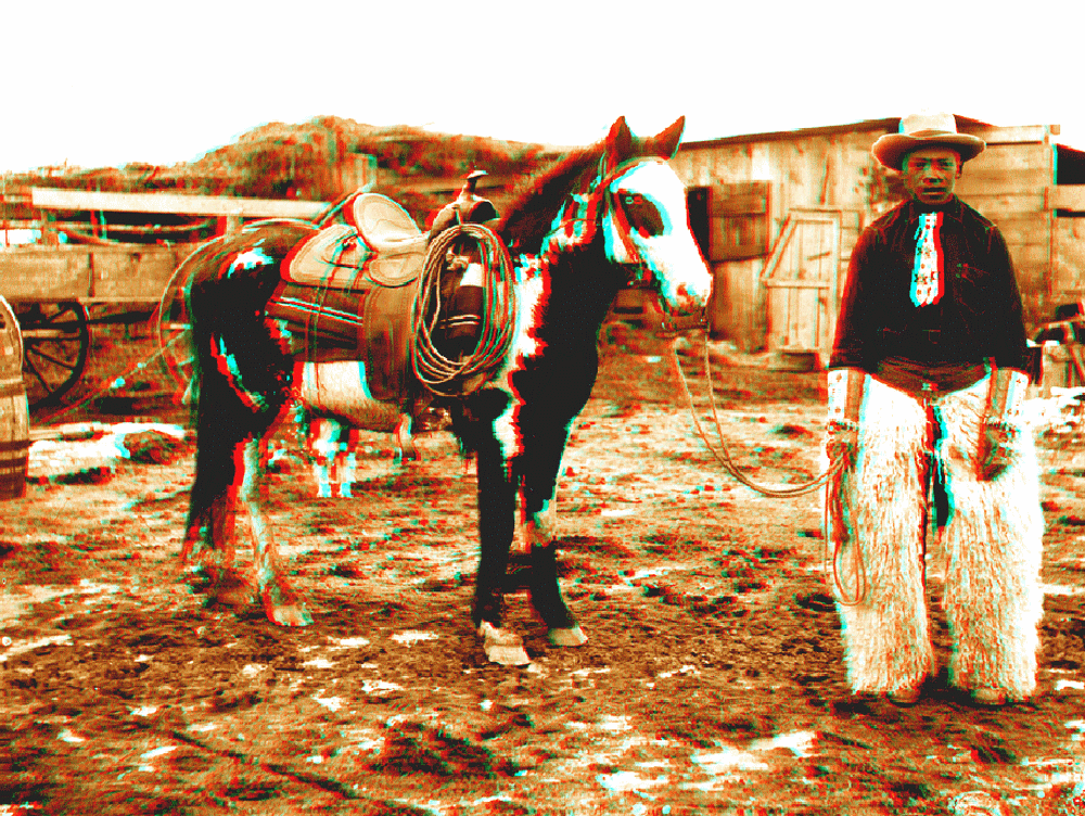 equus