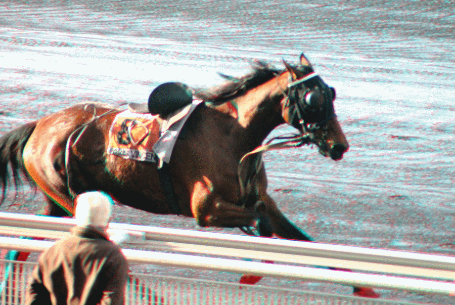 equus