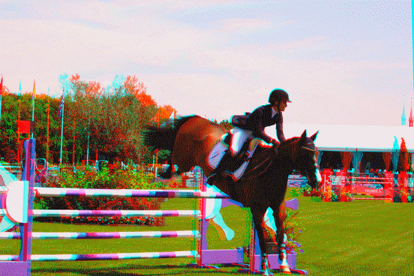 equus