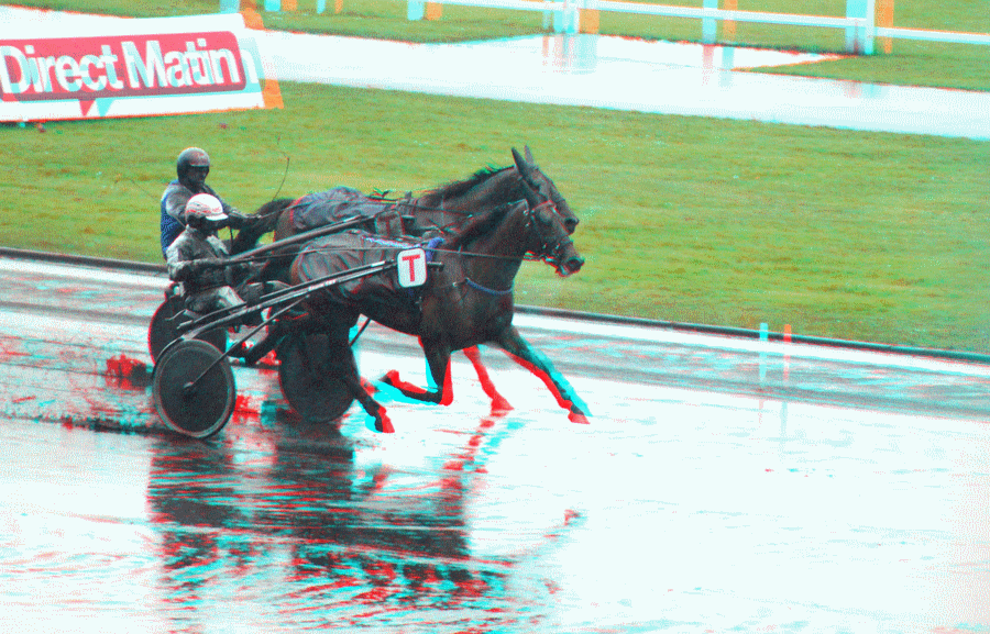 equus