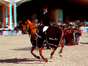 equus