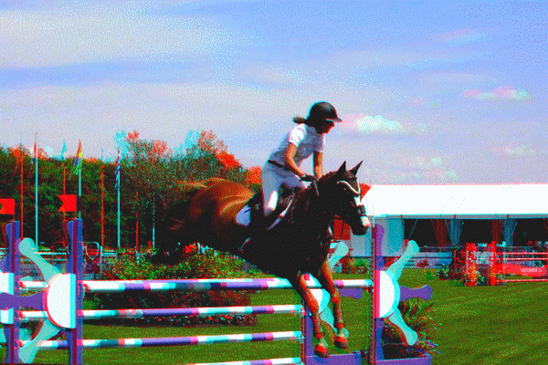 equus