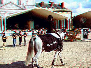 equus