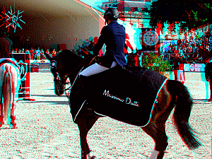 equus