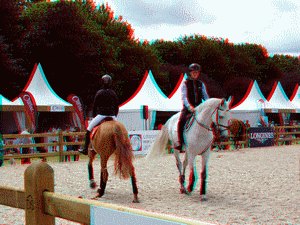 equus