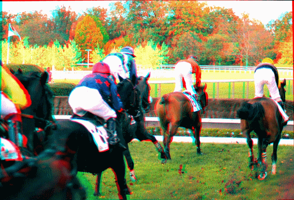 equus