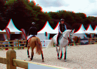 equus