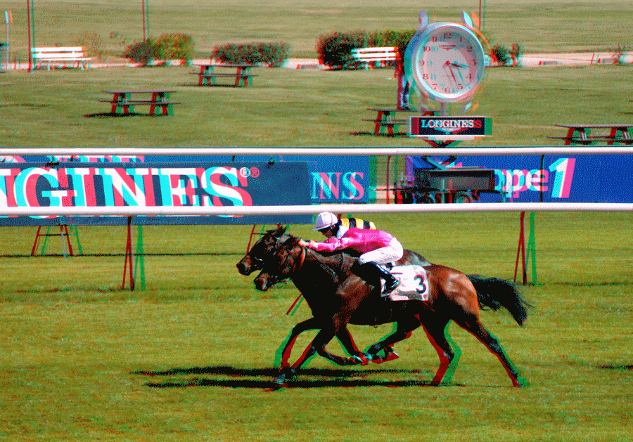 equus