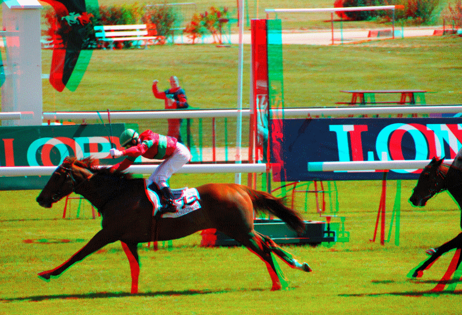 equus