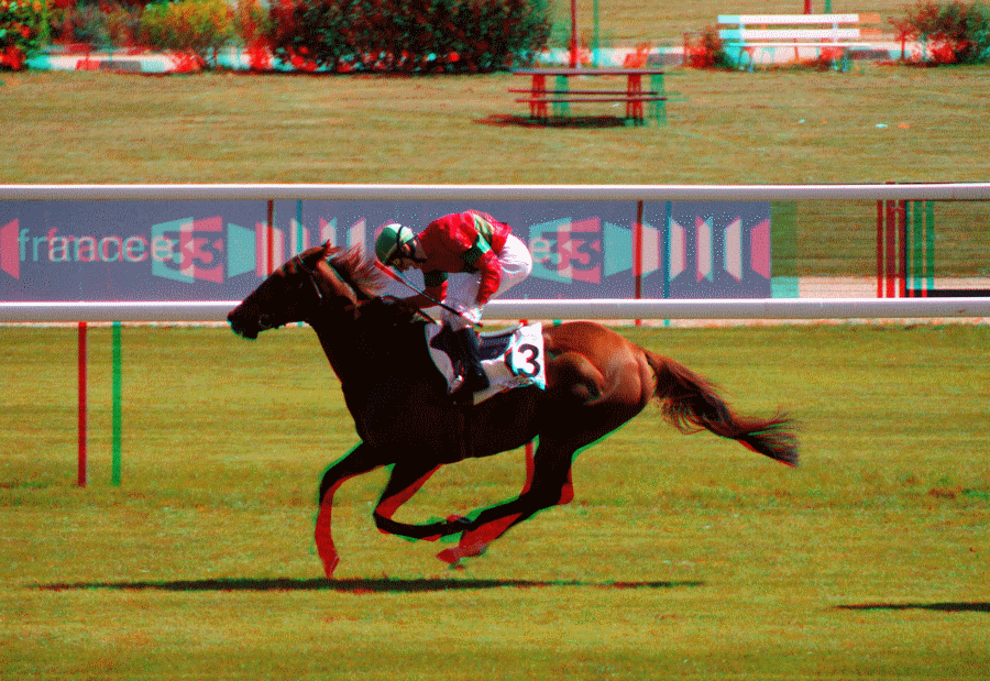 equus