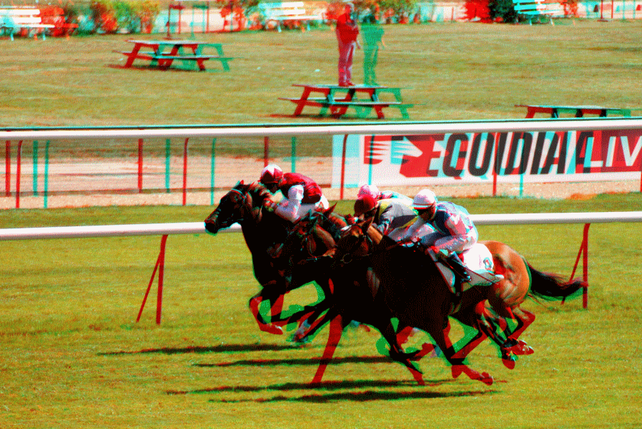 equus