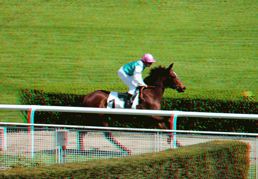 equus