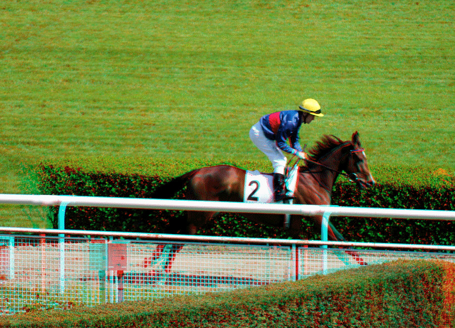 equus