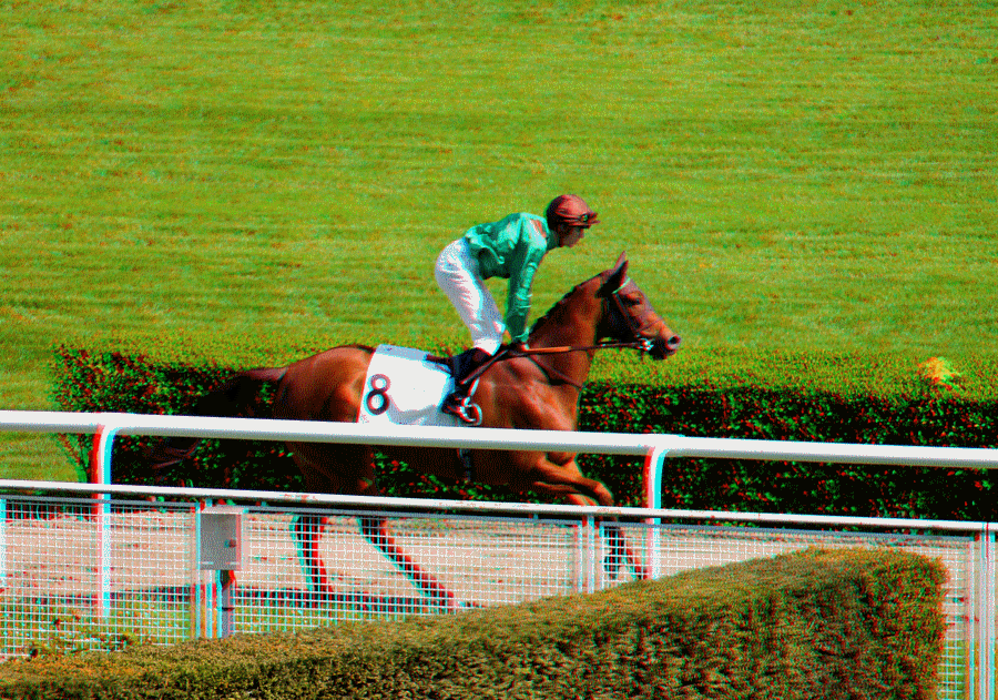 equus