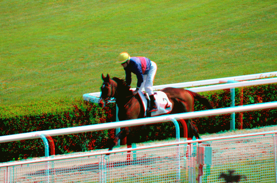 equus