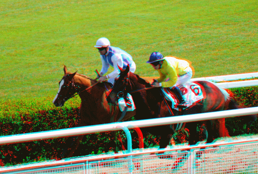 equus