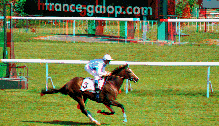 equus