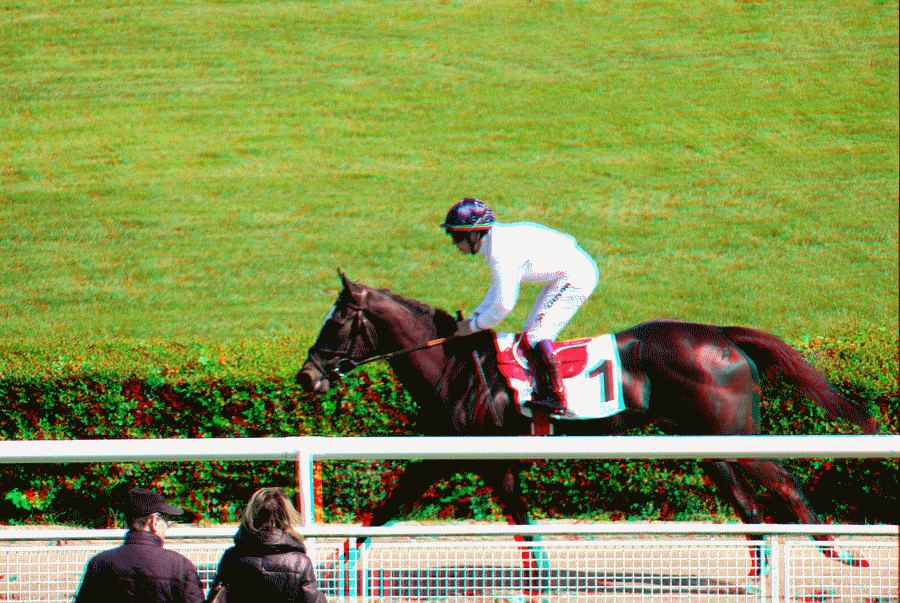 equus