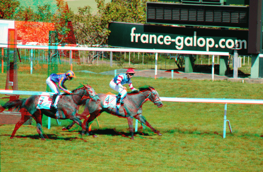 equus