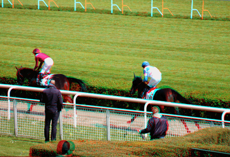equus