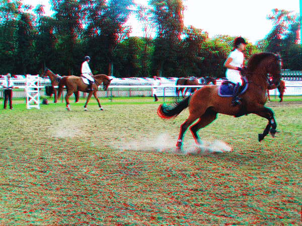 equus
