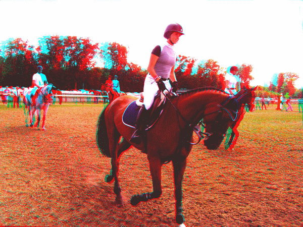 equus
