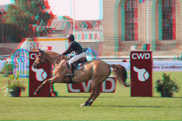 equus