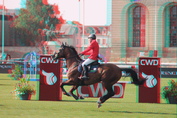 equus