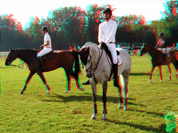 equus