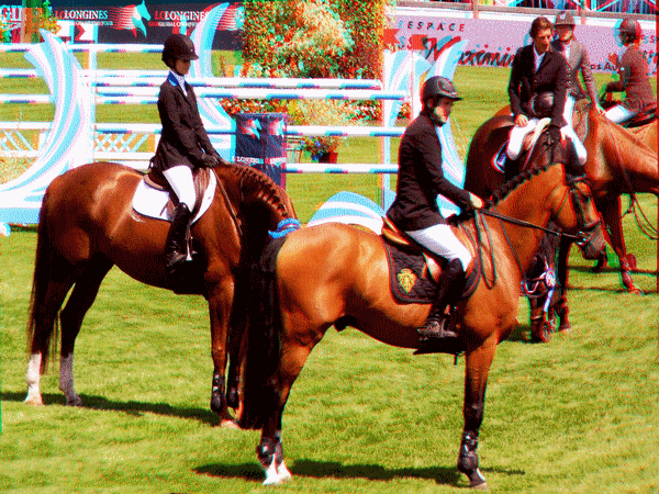 equus