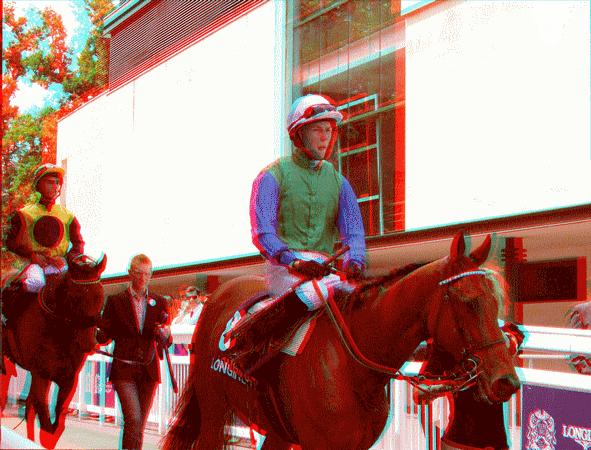 equus