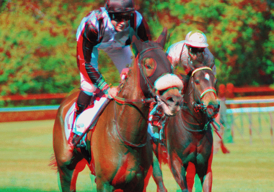 equus